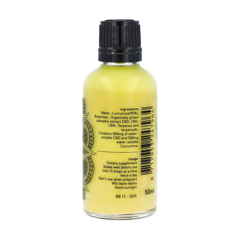 CBD Active+ Curcumin Edition