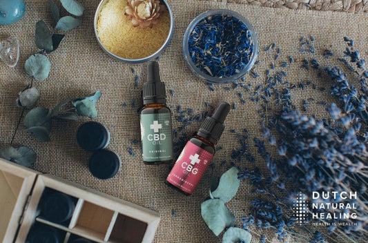 Dutch Natural Healing: A Ciência e a Paixão por detrás do melhor CBD do Mundo